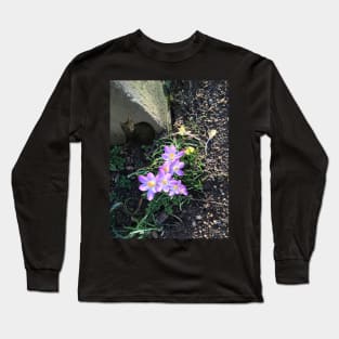 Tiny Cat With Crocuses Long Sleeve T-Shirt